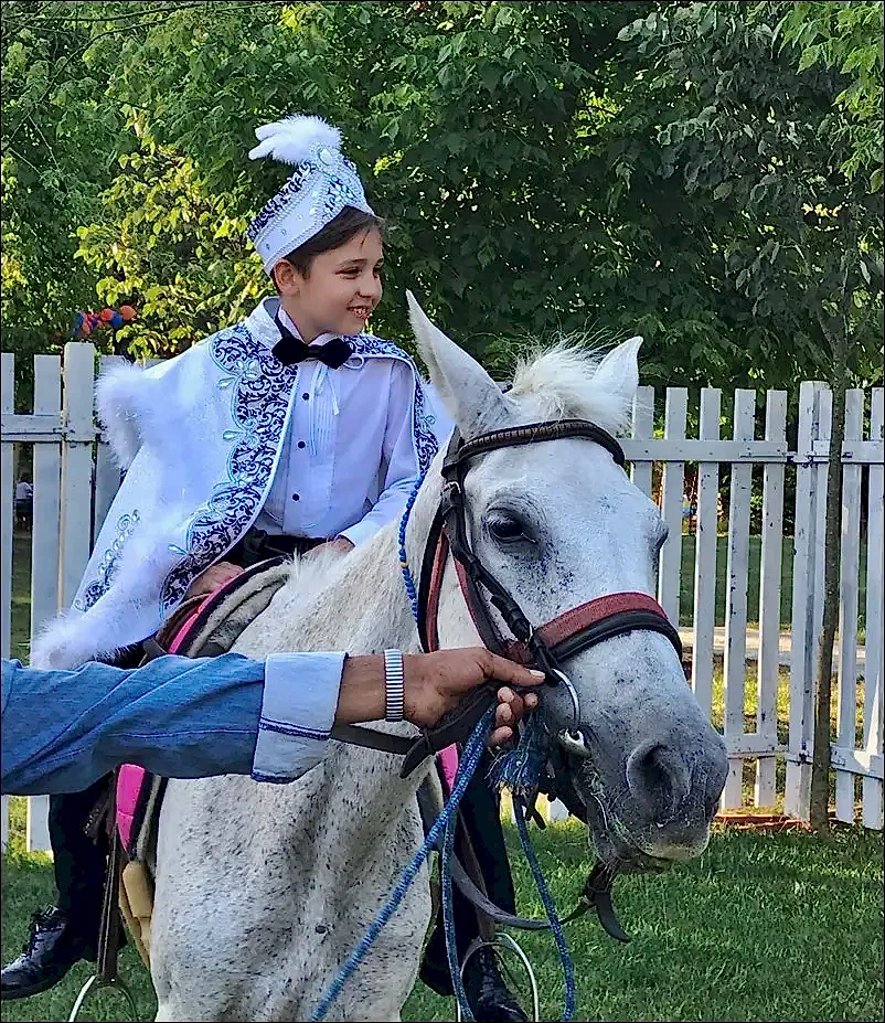 At Kiralama-Kiralık At Hizmeti