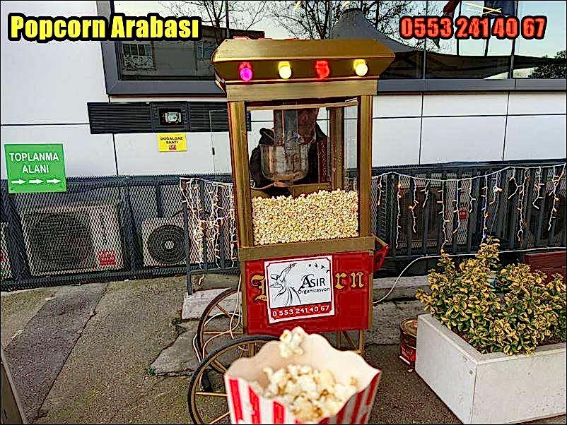 Kiralık Mısır Arabası