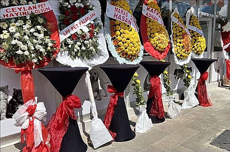 Profesyonel Açılış Organizasyonu Gerekli Tüm Bilgiler