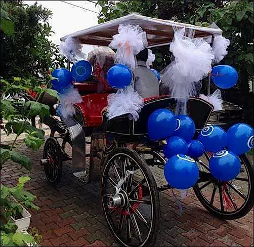 Fayton Kiralama Kiralık Fayton