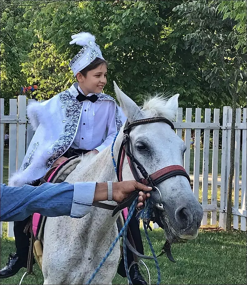 At kiralama-Kiralık at